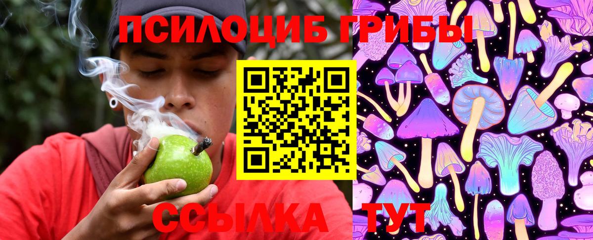 Псилоцибиновые грибы MAGIC MUSHROOMS Пушкино